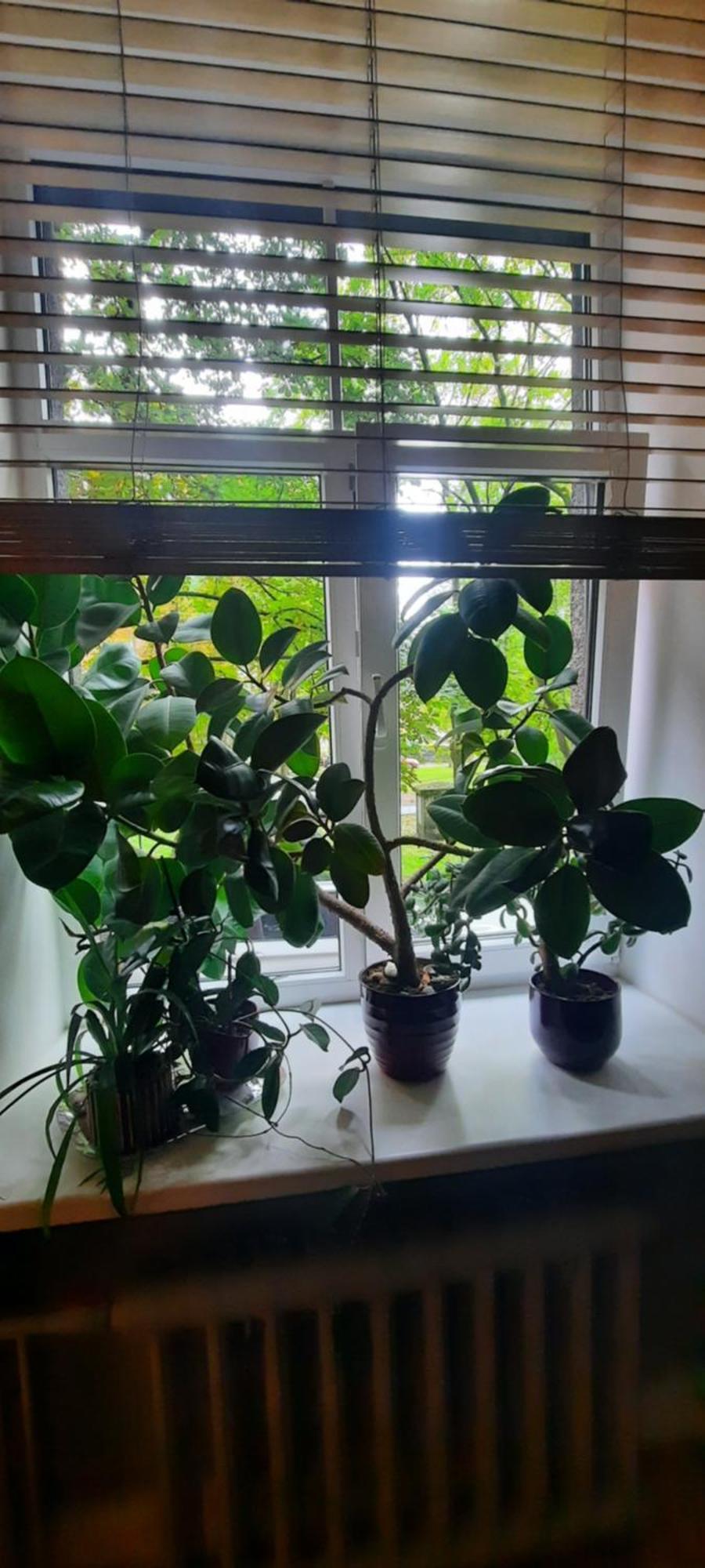Eksporta 10, Lux Apartment Riga Luaran gambar